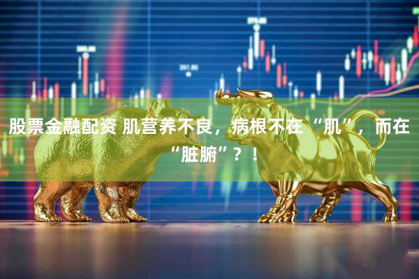 股票金融配资 肌营养不良，病根不在 “肌”，而在 “脏腑”？！